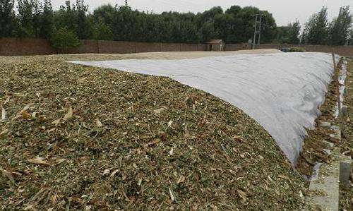 关注丨珠穆朗玛峰成了一座“垃圾峰”？