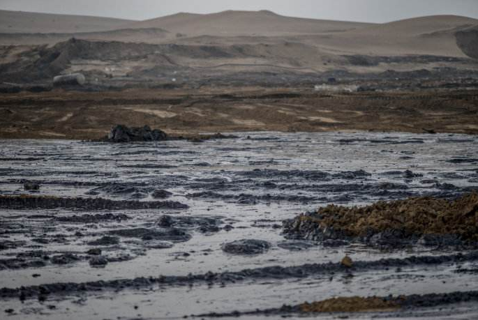 关注丨环？萍：打开土壤修复5万亿市场的金钥匙