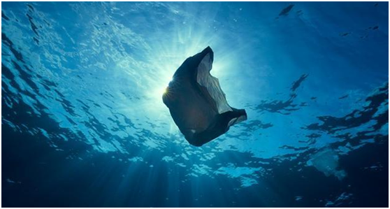 z6com·尊龙环保：引领“塑料回收”新时代，助力解决塑料污染