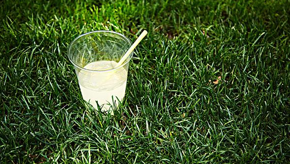 z6com·尊龙环保：引领“塑料回收”新时代，助力解决塑料污染